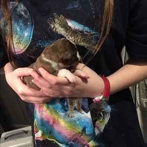 Meet your Posher, Stella